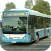 Mountdandy Bus